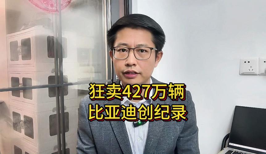 2024年汽车市场大洗牌！比亚迪狂卖427万辆，理想为何仅完成一半目标？  第15张