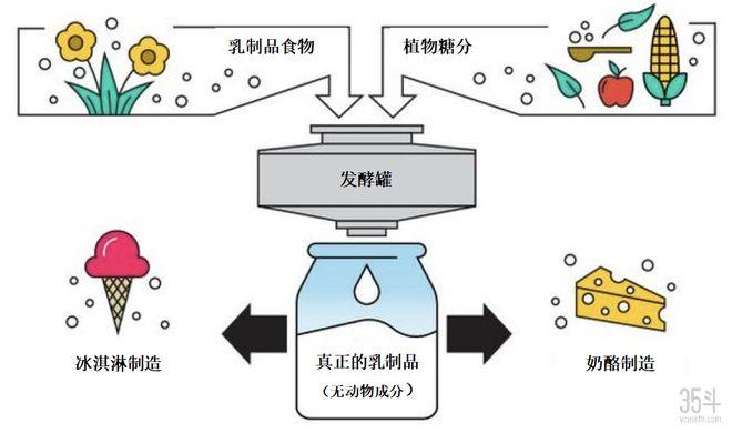 硅基流动云服务上线新模型！背后有何秘密？  第8张