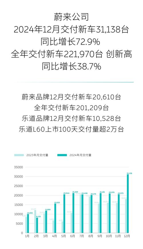 比亚迪1月销量破30万！新势力一年销量竟不及比亚迪单月？