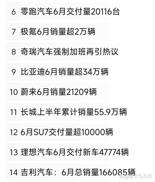 比亚迪1月销量破30万！新势力一年销量竟不及比亚迪单月？  第12张