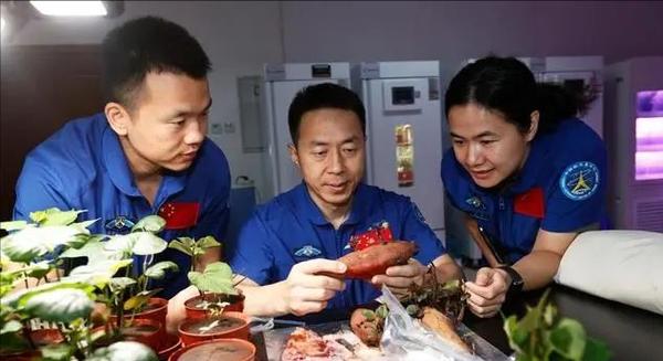 太空美食大揭秘！神舟十九号航天员的饕餮盛宴，你绝对想不到他们吃什么  第5张