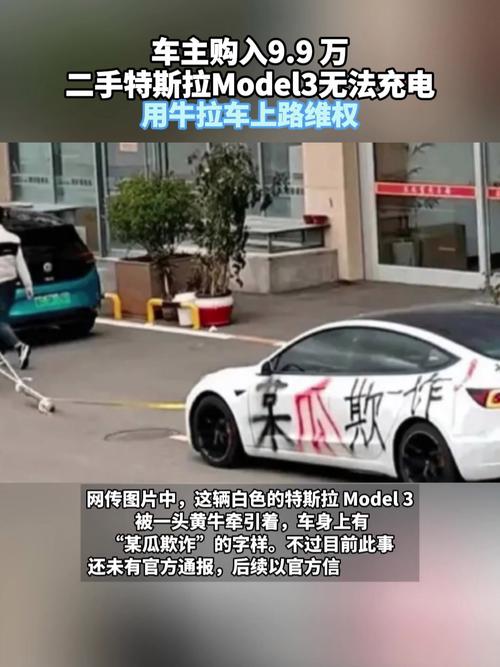 特斯拉Model 3上海滩陷车，救援为何这么难?  第11张