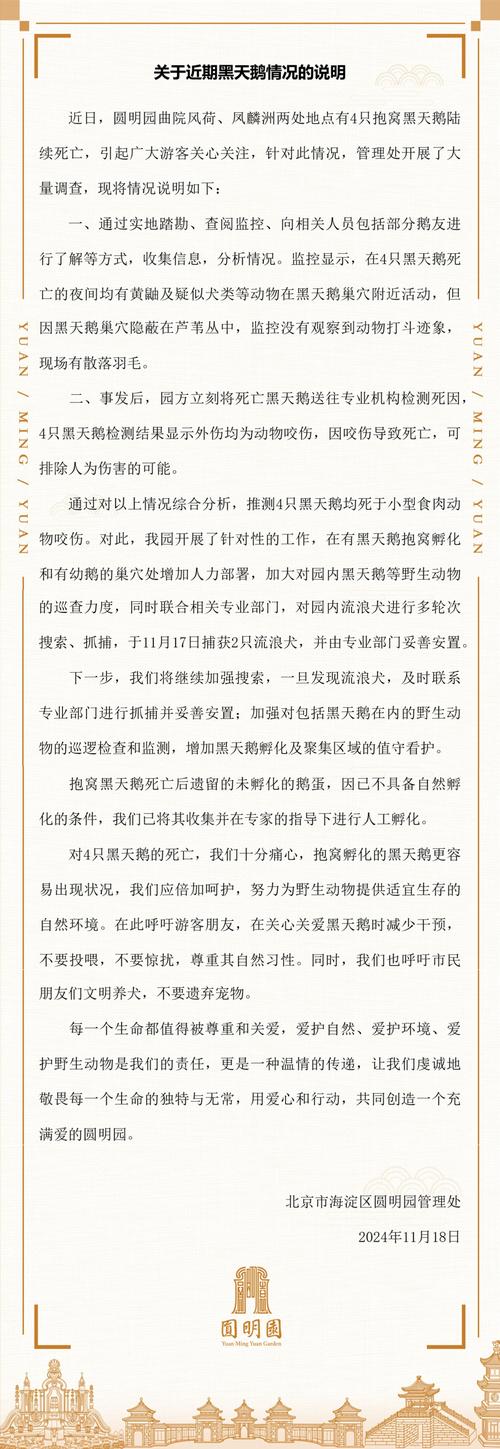 黑天鹅作者示警：英伟达股价暴跌是开端？更大灾难将至  第3张