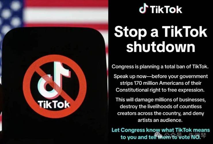 特朗普给TikTok的最后通牒：4月5日，不卖就禁！TikTok能否逆风翻盘？  第6张