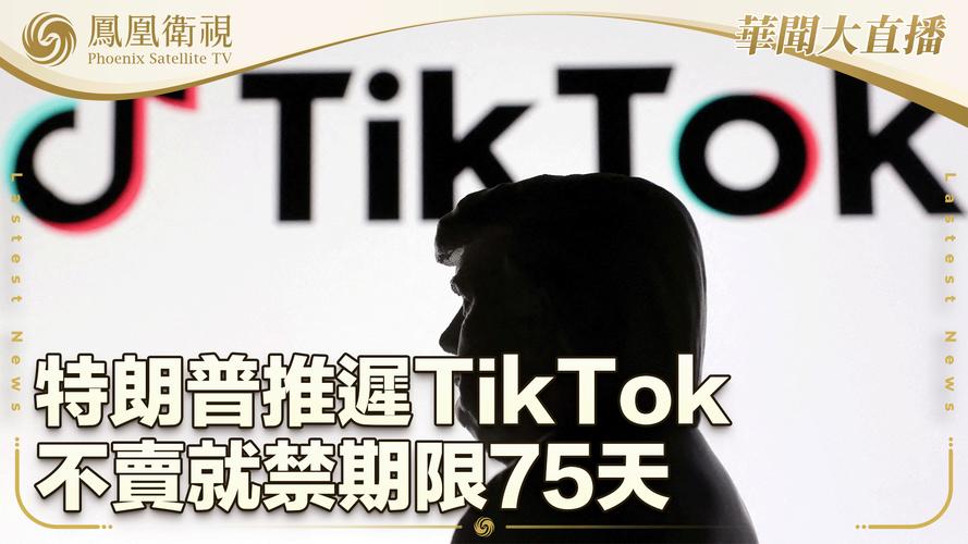 特朗普给TikTok的最后通牒：4月5日，不卖就禁！TikTok能否逆风翻盘？  第7张