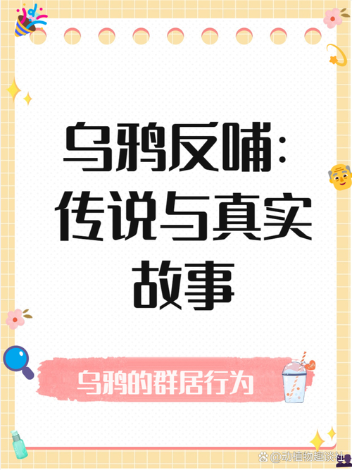 乌鸦反哺真的存在吗？揭秘动物故事背后的文化误解  第8张