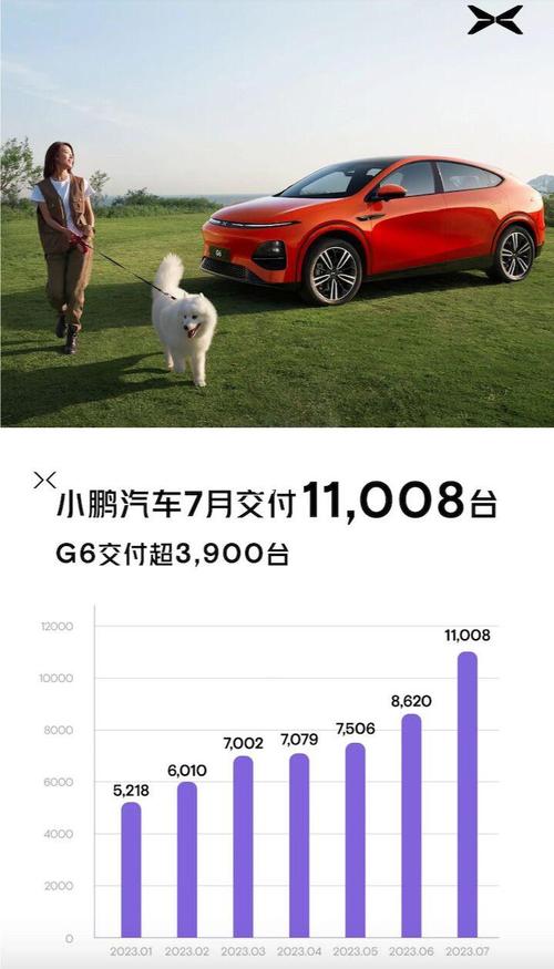 小鹏汽车成黑马交付量猛增! 低价产品是主销?  第2张