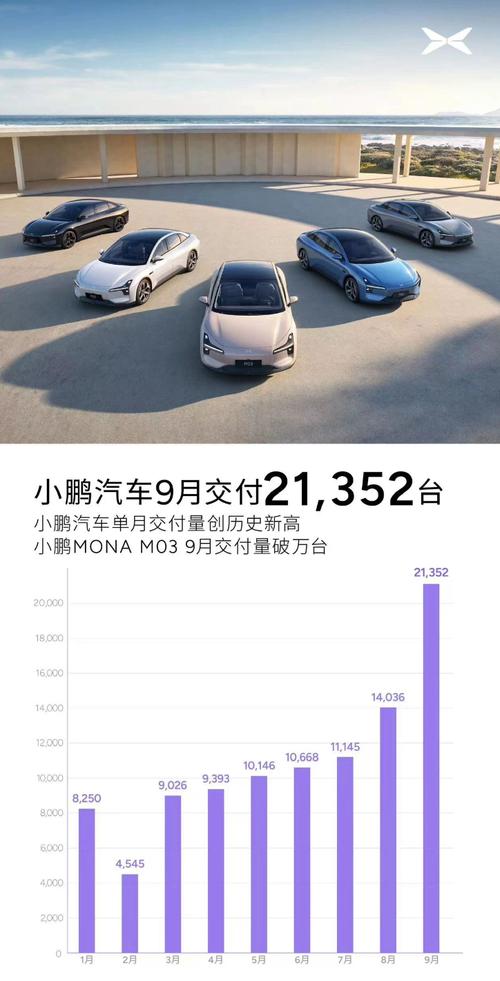 小鹏汽车成黑马交付量猛增! 低价产品是主销?  第7张