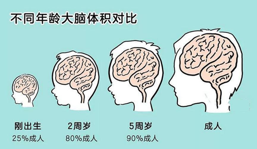 你还觉得遗忘是坏事吗？遗忘其实是大脑的重要功能!  第8张