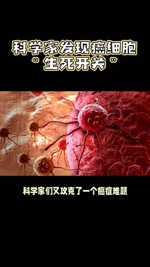 中国科学家破解肿瘤与细菌对话机制，癌症治疗迎来新突破  第3张