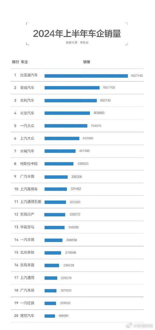 比亚迪2024年销量成绩斐然，凭啥如此强劲？  第10张