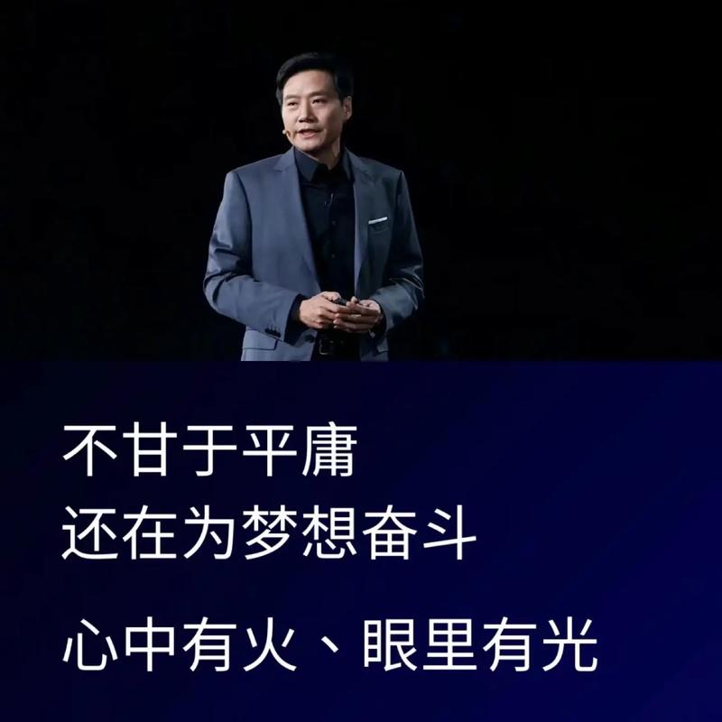 雷军为何对政府工作报告中的稳字印象深刻？65次提及的背后隐藏着什么？  第8张