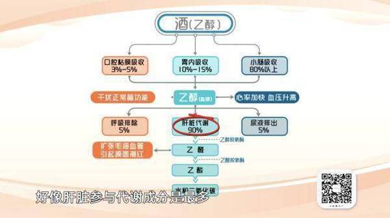 酒精竟然致癌？美国卫生局局长呼吁更新警示标签，你还在忽视这个健康隐患吗  第6张