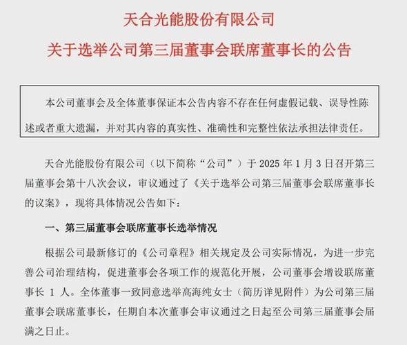 93年女董事长高海纯接棒天合光能，能否带领400亿巨头成功转型？  第9张