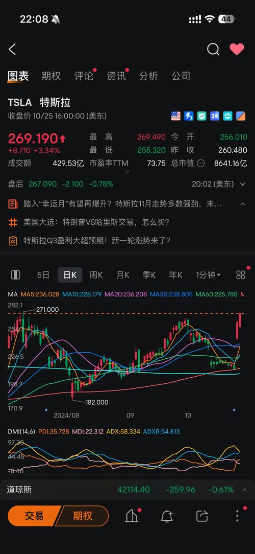 2024年特斯拉营收微增交付下降利润腰斩，市值为何仍不惧疲软飙升？  第10张