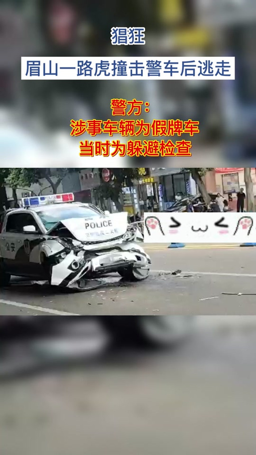 你敢挑战警车？应急车道上的惊险一幕让人瞠目结舌  第8张