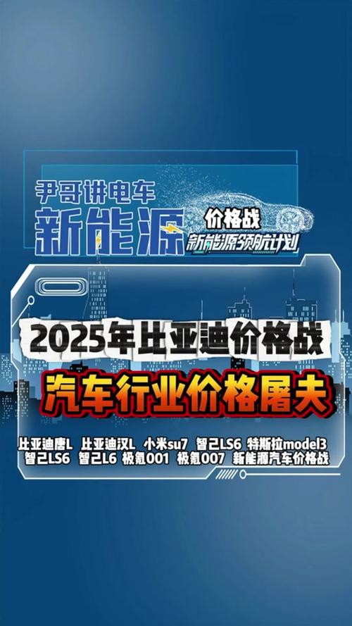 2025年车圈价格战再起，特斯拉领衔优惠风暴，你准备好了吗？  第19张