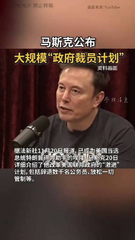 马斯克政府大裁员，20万员工何去何从？政府效率部究竟在玩什么花样？