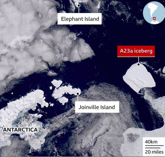 全球最大冰山A23a搁浅！它会引爆海洋生态链吗？