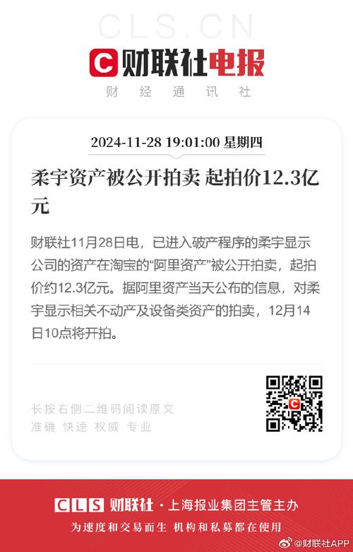 柔宇资产第四次拍卖，起拍价仅234.41万元！这次能否成功拍出？  第12张