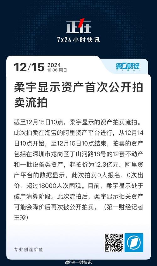 柔宇资产第四次拍卖，起拍价仅234.41万元！这次能否成功拍出？  第13张