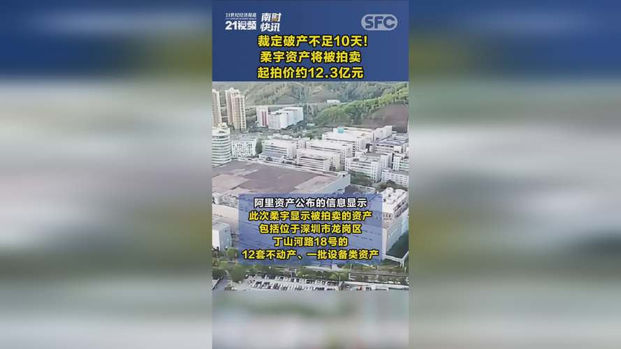 柔宇资产第四次拍卖，起拍价仅234.41万元！这次能否成功拍出？  第6张