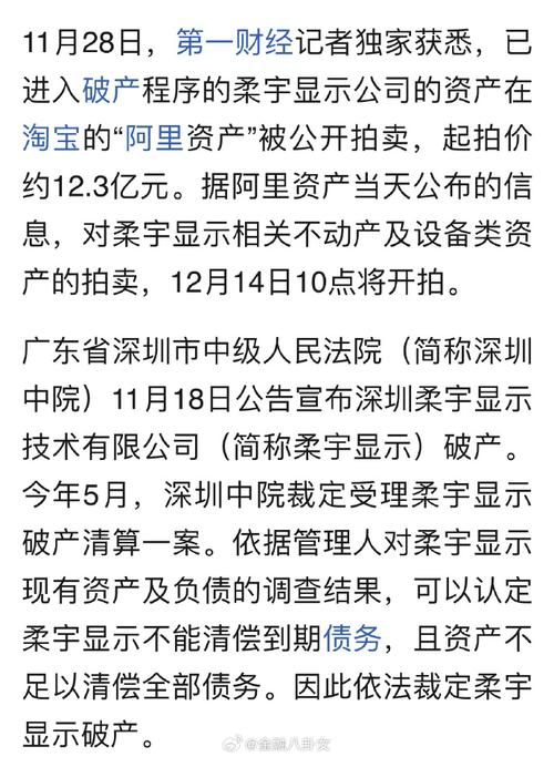 柔宇资产第四次拍卖，起拍价仅234.41万元！这次能否成功拍出？  第10张