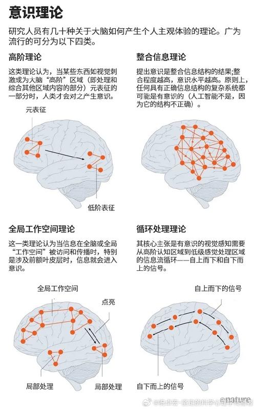 量子全息图意识理论：微美全息如何用前沿科技揭开意识之谜？  第11张