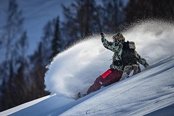 惊险！德国男子滑雪遇雪崩，竟靠这个神奇装备幸存！你猜是什么？  第7张