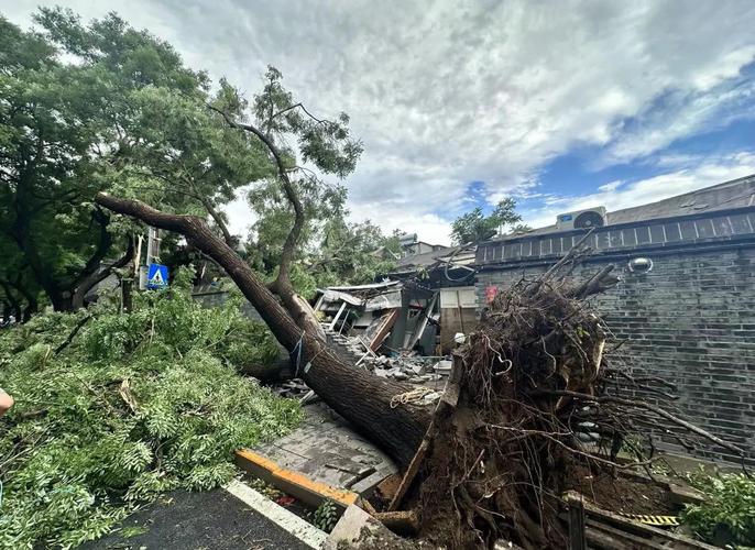 北京遭遇罕见13级大风，堪比台风！你家安全吗？  第4张