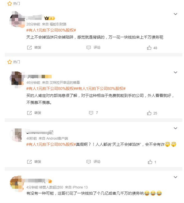 1元拍下公司80%股权？天上掉馅饼还是有诈