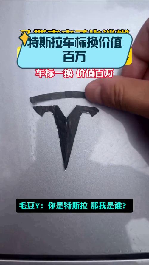 特斯拉车主们为何纷纷改换车标？马斯克的激进政策引发连锁反应  第6张