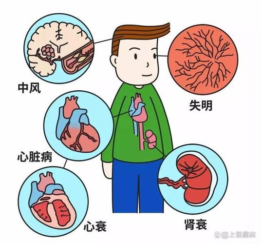 高血压真的只是小问题吗？每28秒就有一人因脑卒中离世  第7张