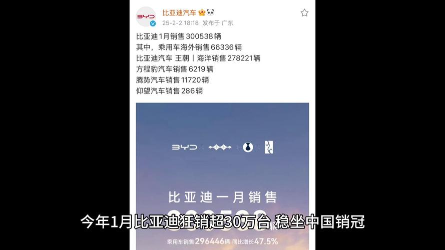 2025年车市开门红，比亚迪1月销量破30万，谁还能与之争锋？  第5张