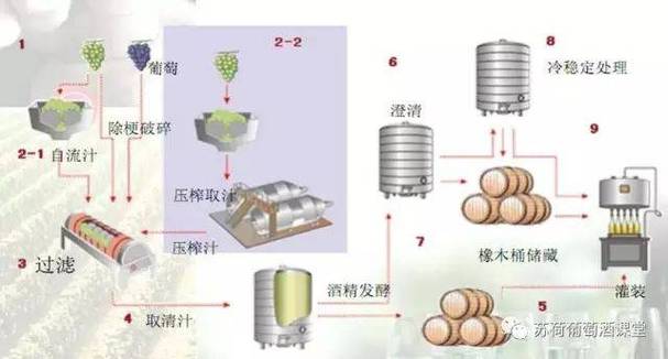 酵母菌如何在水果和谷物中独占鳌头？揭秘发酵的惊人力量  第4张