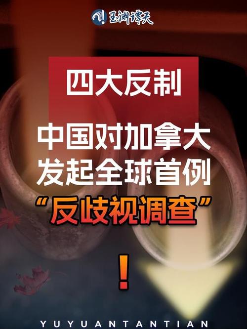 中国终于反击！加拿大加征关税，我们如何应对？  第3张