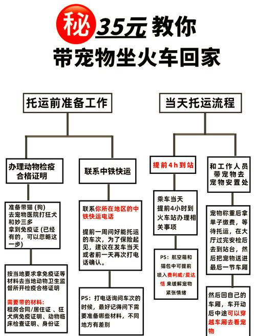 中国铁路推高铁宠物托运服务! 想带宠物坐高铁?看这篇攻略!  第13张