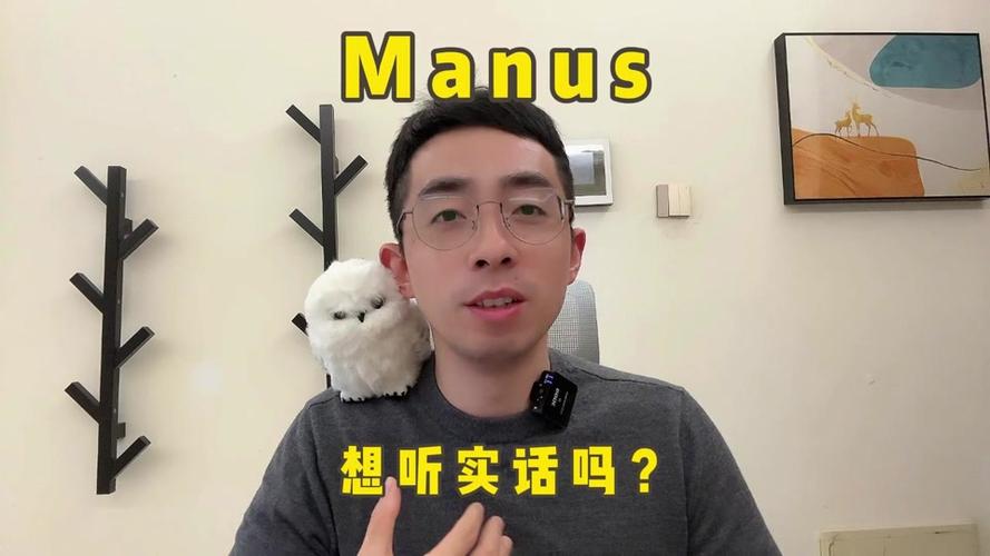 Manus AI真的那么神奇吗？为何专家们都保持沉默？  第9张