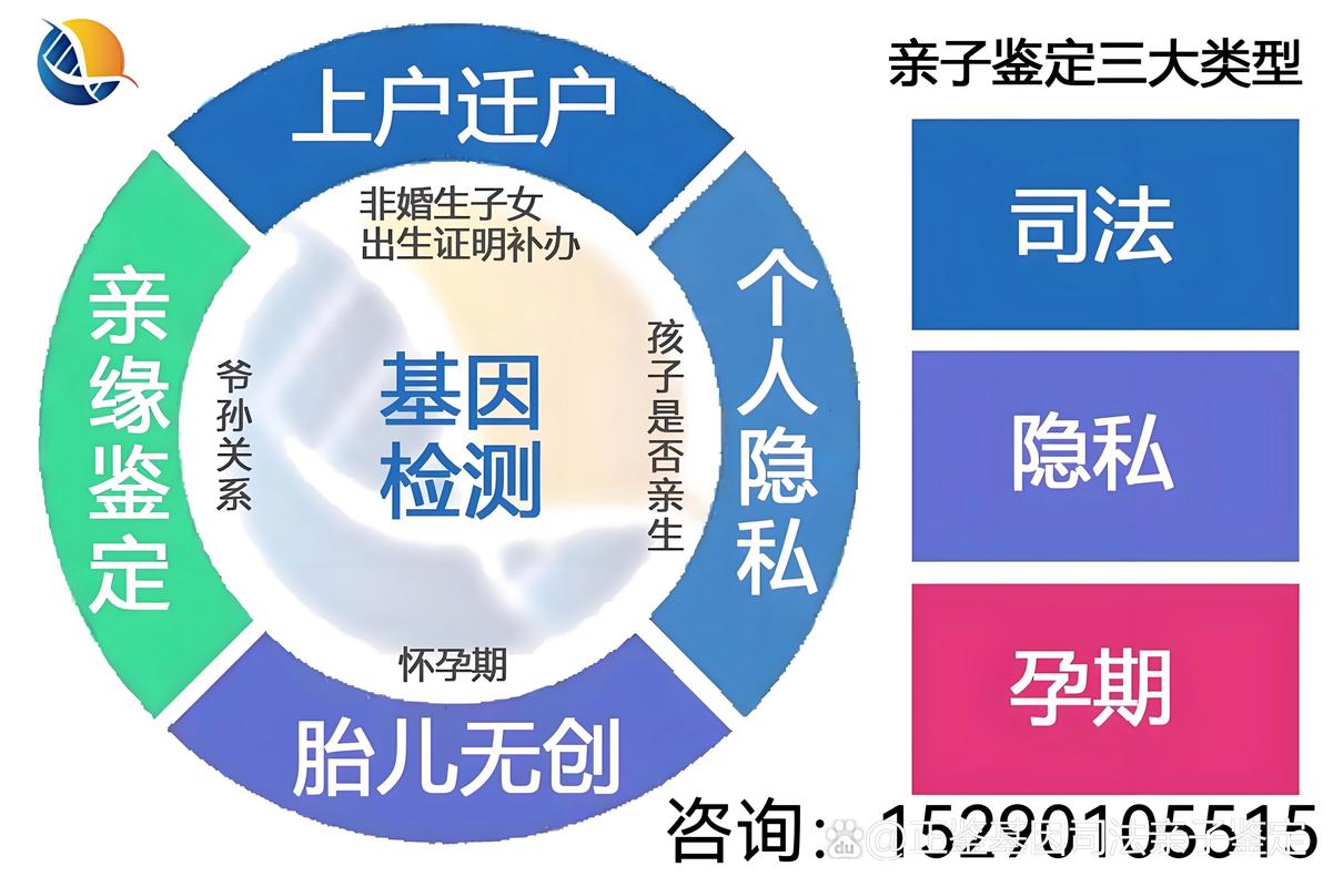 基因检测真能预测孩子的智力上限？揭秘背后的科学真相  第4张