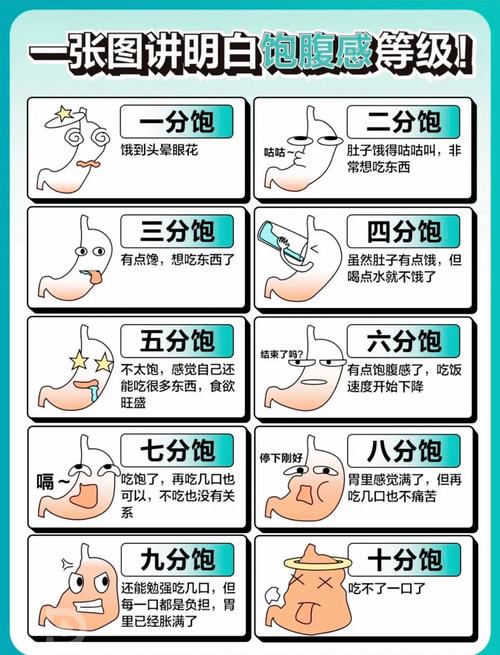 你是否也曾不知不觉吃太饱？揭秘20分钟后身体的变化  第3张