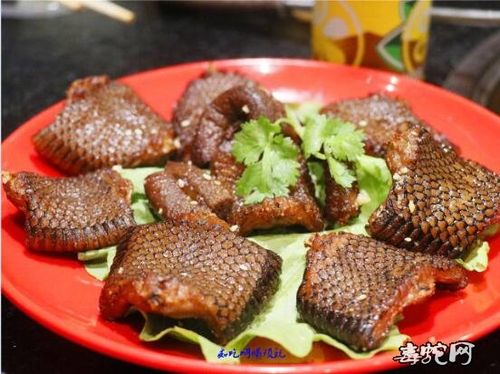 你敢吃蛇肉吗？揭秘南方餐桌上的禁忌美味  第6张