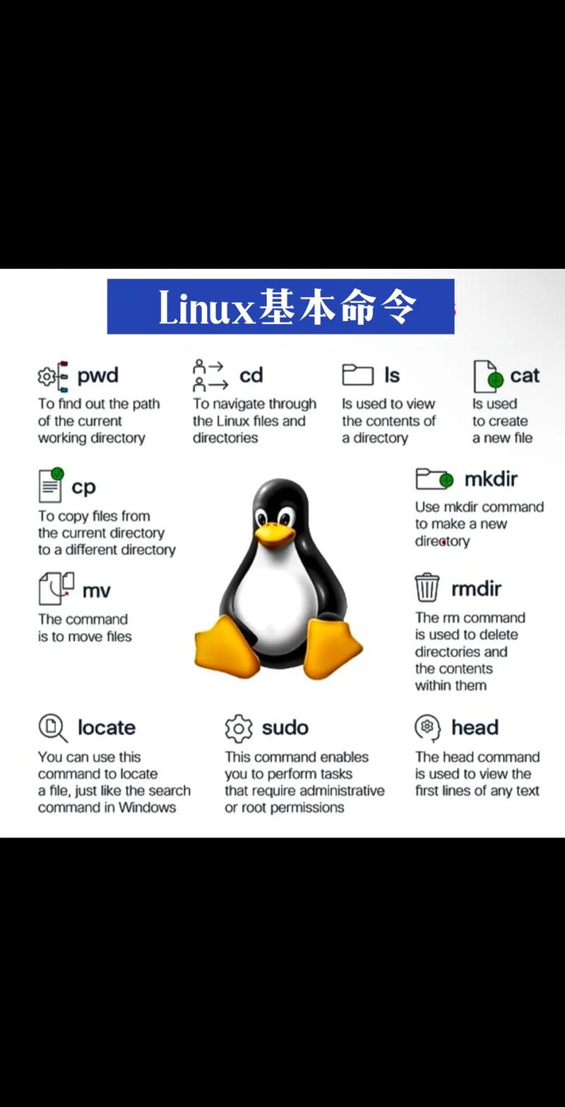 老手机还能再战？这款Linux系统让旧设备焕发新生  第3张