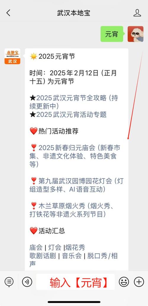 2025元宵节晚会如何身临其境？大屏投影仪带你体验超清视觉盛宴  第16张