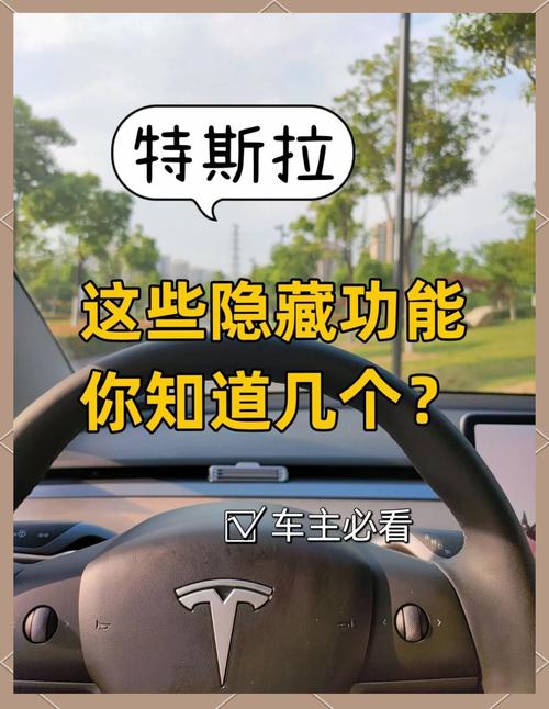 特朗普为何突然宣布购买特斯拉？背后竟隐藏着这样的政治博弈  第5张