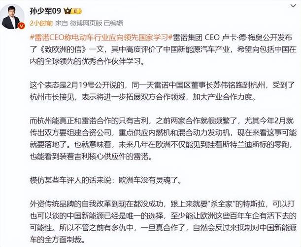 欧洲汽车行业为何落后于中国？雷诺CEO梅奥揭示惊人真相  第11张