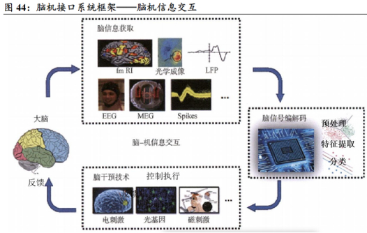 马斯克揭秘Neuralink新进展：2025年将植入20-30例患者，脑机接口技术将如何改变人类未来？  第8张