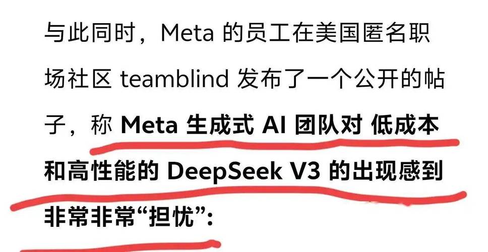 国产大模型圈冰火两重天！DeepSeek低成本高实力，为何我们投的却陷入困境？  第5张