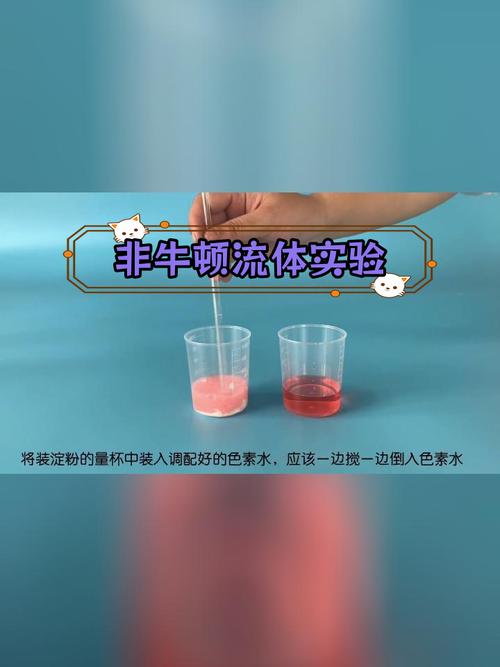 你知道吗？水和番茄酱竟然属于不同类型的流体！揭秘牛顿流体与非牛顿流体的奥秘  第6张