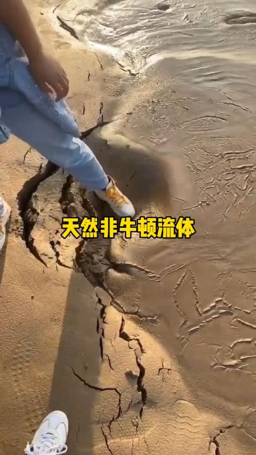 你知道吗？水和番茄酱竟然属于不同类型的流体！揭秘牛顿流体与非牛顿流体的奥秘  第8张