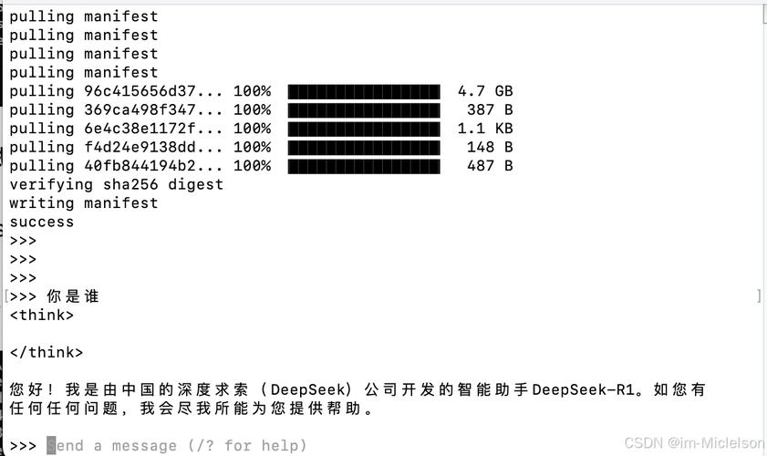 全球爆火的DeepSeek-R1大语言模型，为何本地部署成为关键？  第14张